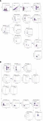 Design and validation of novel flow cytometry panels to analyze a comprehensive range of peripheral immune cells in mice
